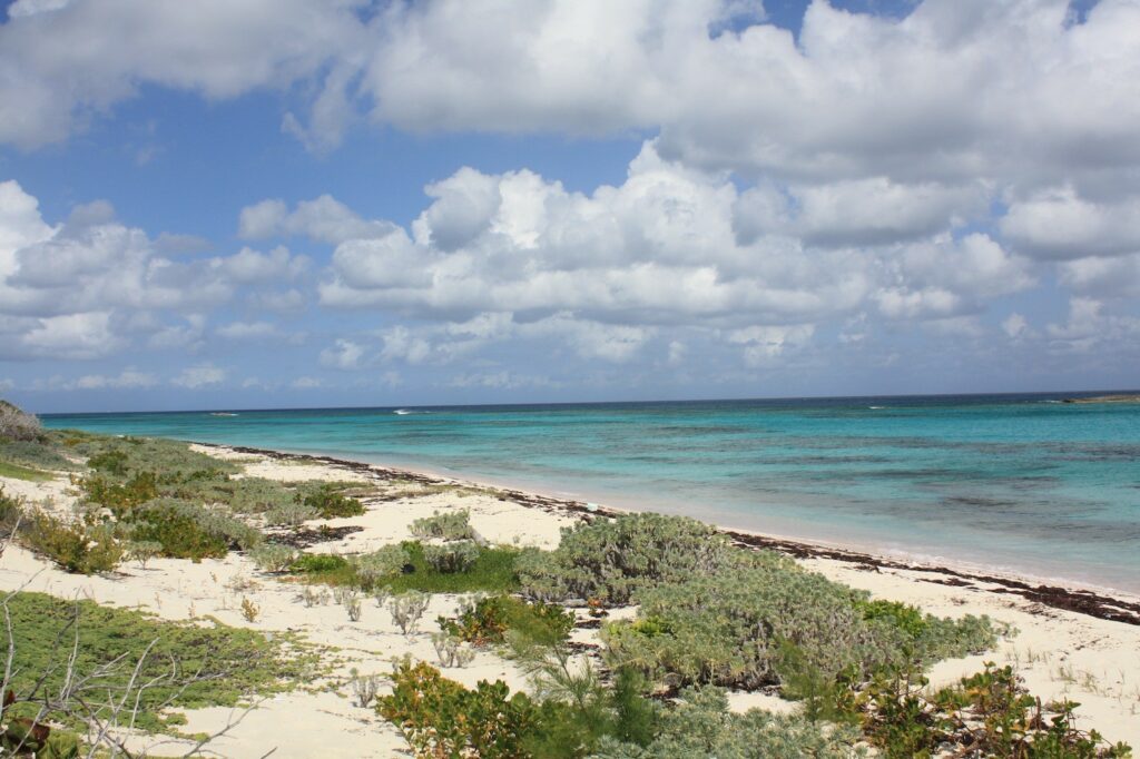 Beachfront Parcel