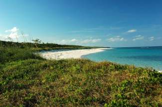 15 Acres with Beachfront