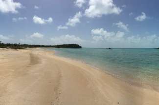 21 Acre Beachfront Parcel