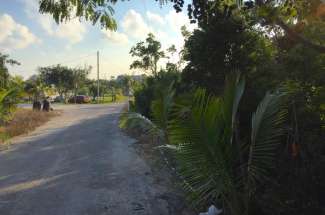 0.42 Acre Lot – Cartwrights