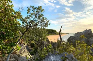 32-Acre Parcel with Waterfront