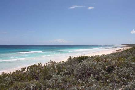 Beachfront Lot – Miley
