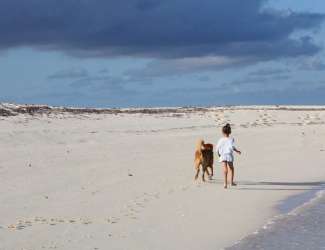 North Long Island