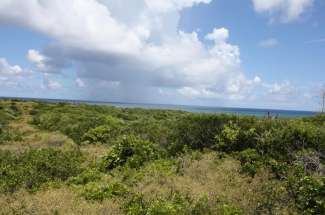 Hilltop Ocean View Lots